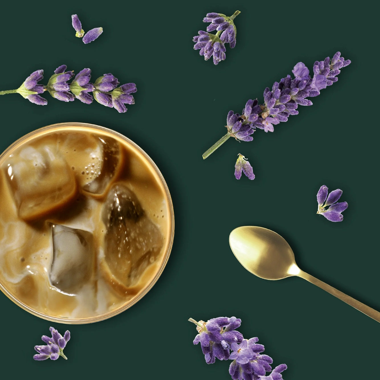 Starbucks Lavender Vanilla Flavored Creamer, Oat Milk Coffee Creamer, 28oz.